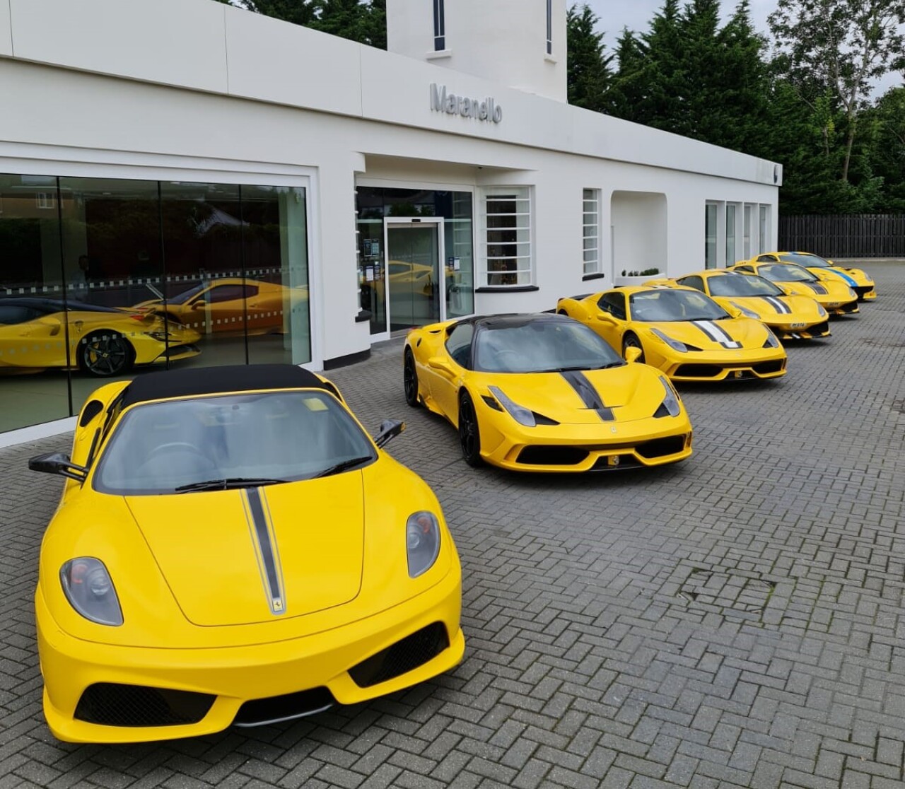 Yellow Ferraris 1