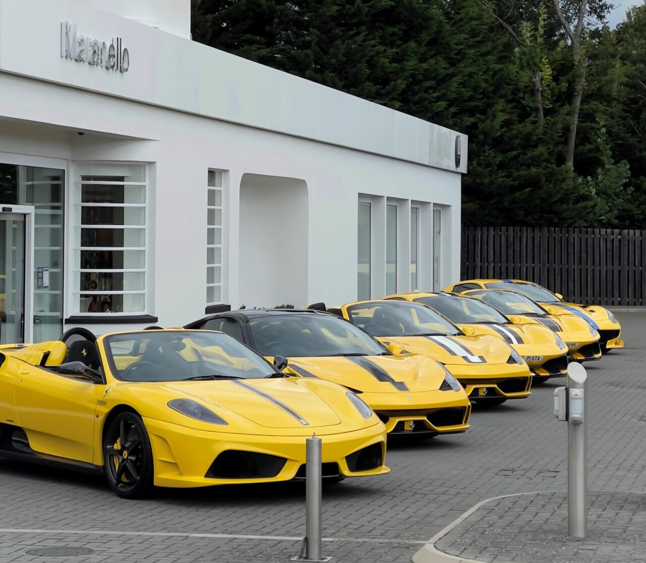 Yellow Ferraris 2